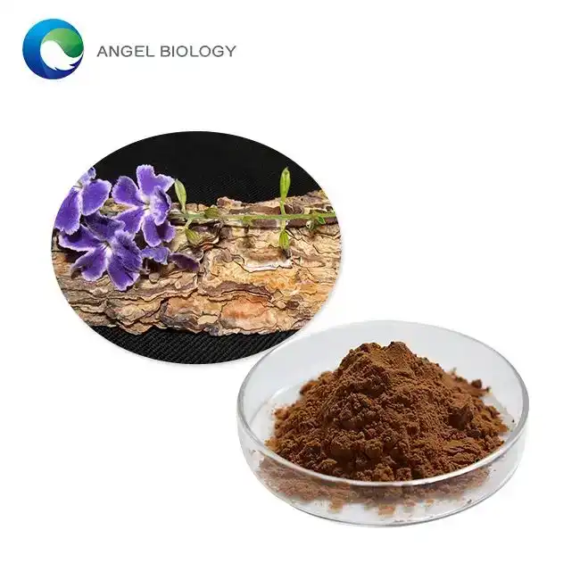 What is Pine Bark Extract Powder and Its Top Health Benefits?